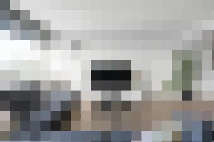 De Brink 580 Den Haag thumbnail 14