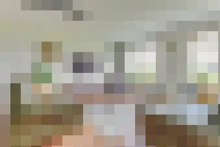 De Brink 6 Castricum thumbnail 13