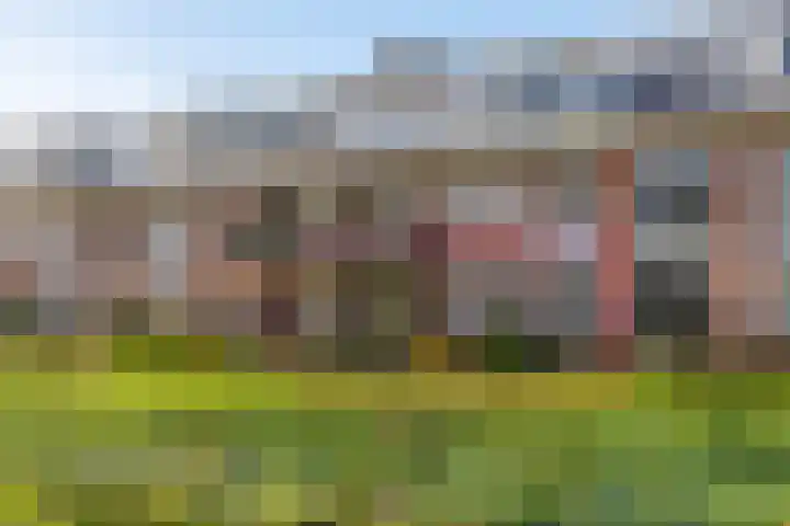 De Brink 6 Castricum thumbnail 32