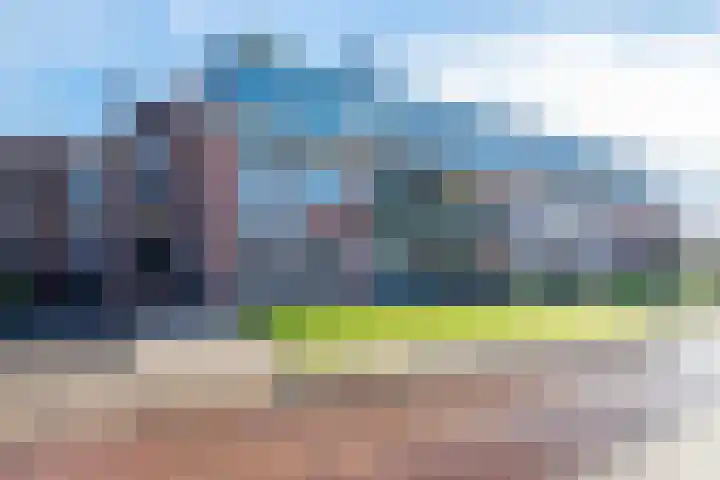 De Brink 6 Castricum thumbnail 45
