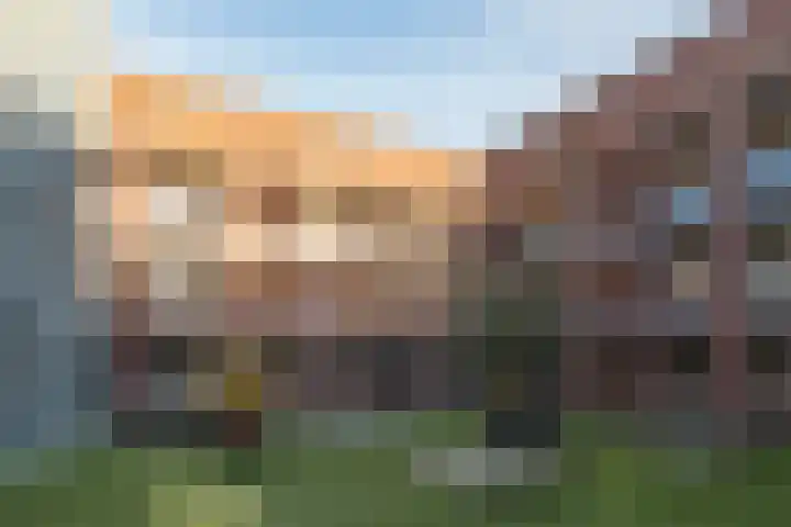 De Brink 6 Castricum thumbnail 9