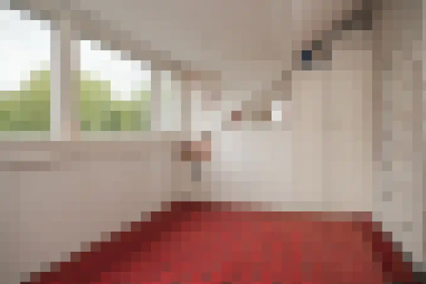 De Brink 6 Zeist thumbnail 26