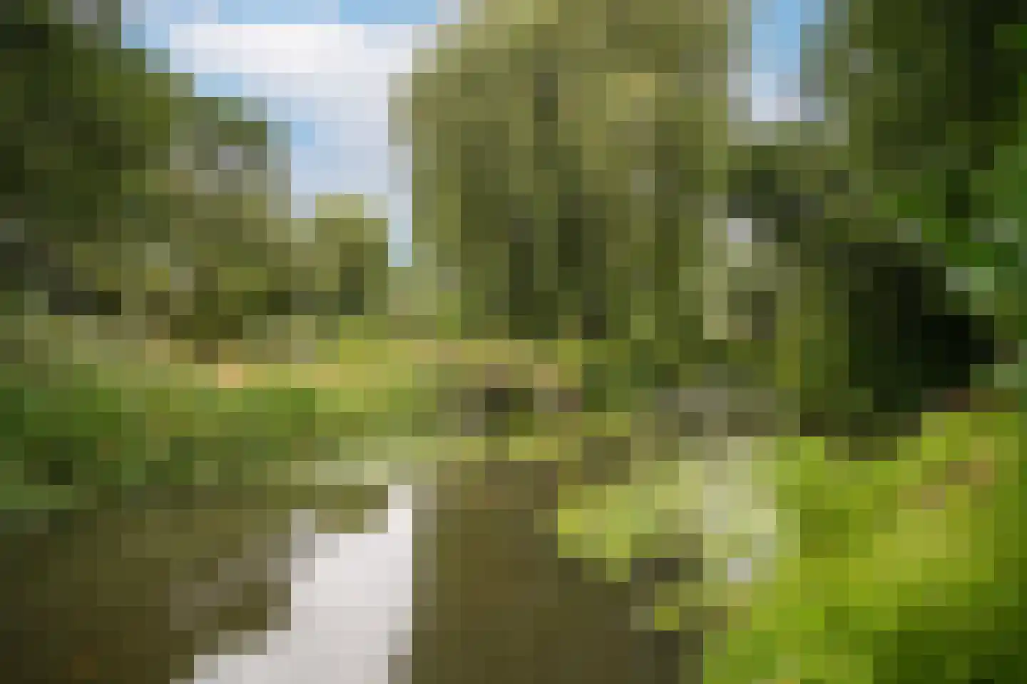 De Brink 6 Zeist thumbnail 29