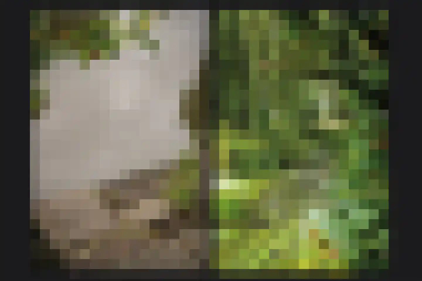De Brink 6 Zeist thumbnail 30