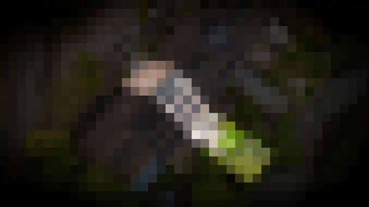 De Brink 6 Zeist thumbnail 40