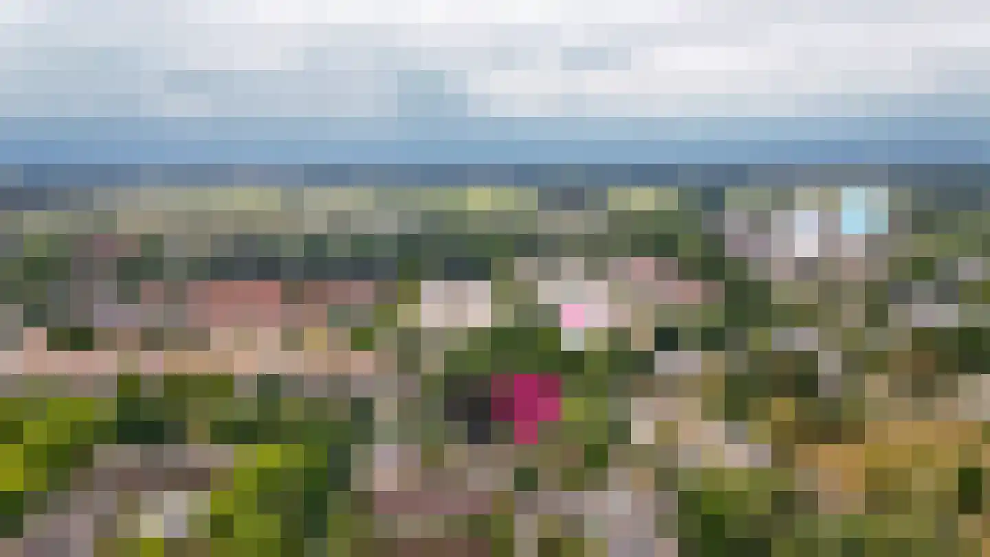 De Brink 6 Zeist thumbnail 41