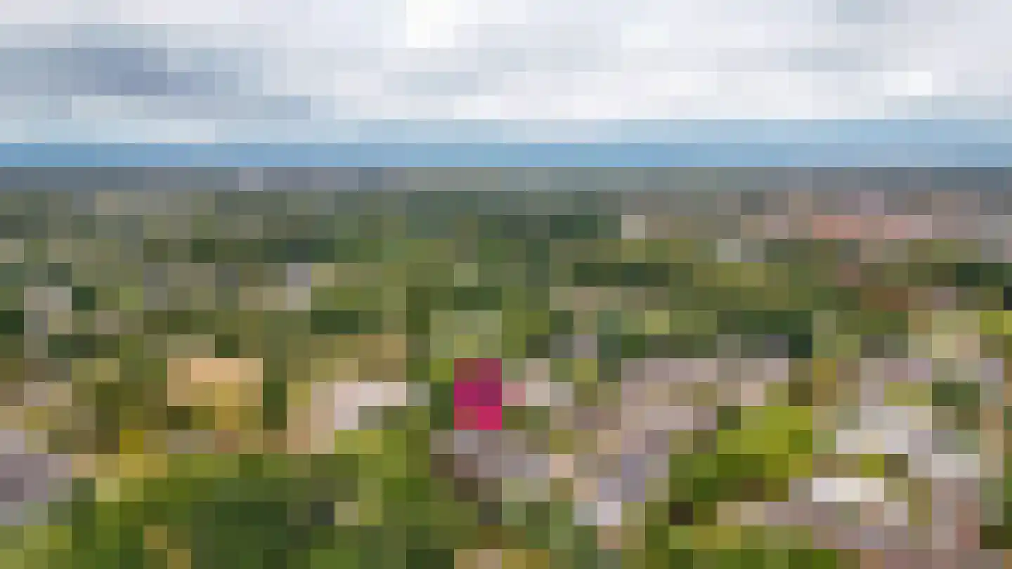 De Brink 6 Zeist thumbnail 42