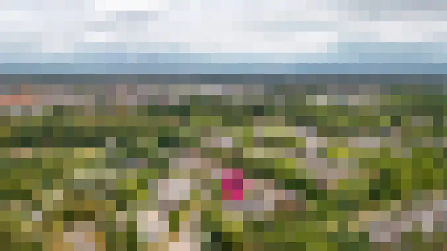 De Brink 6 Zeist thumbnail 43