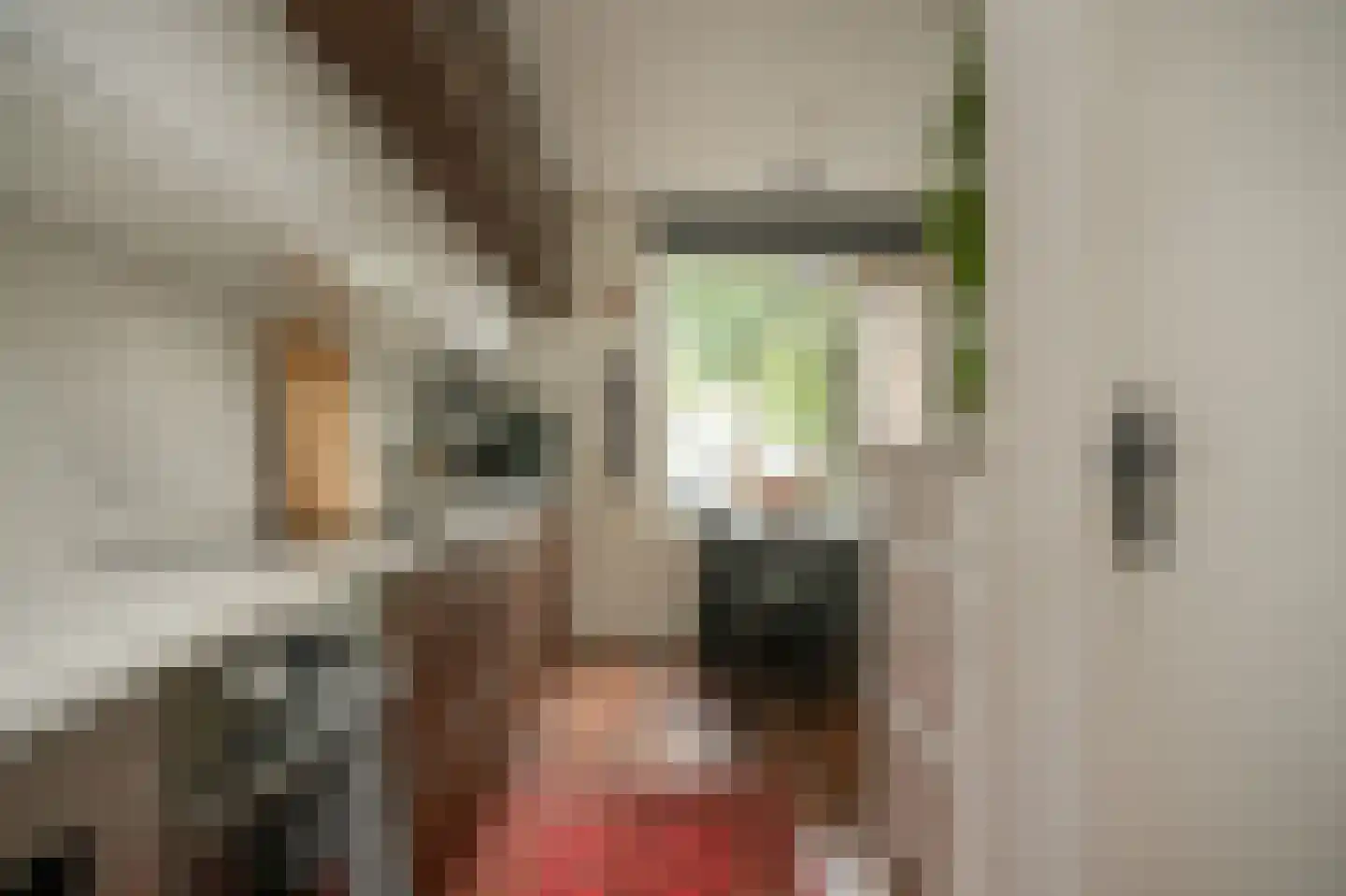 De Brink 6 Zeist thumbnail 6