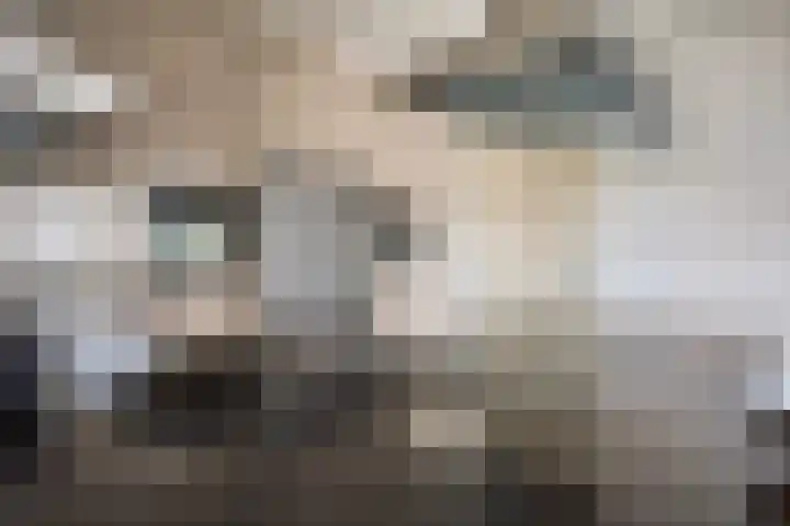 De Brink 61 Groningen thumbnail 19