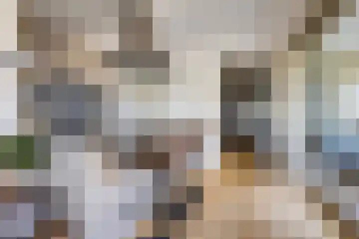 De Brink 61 Groningen thumbnail 20