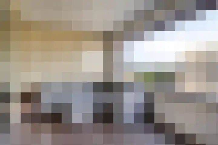 De Brink 61 Groningen thumbnail 26