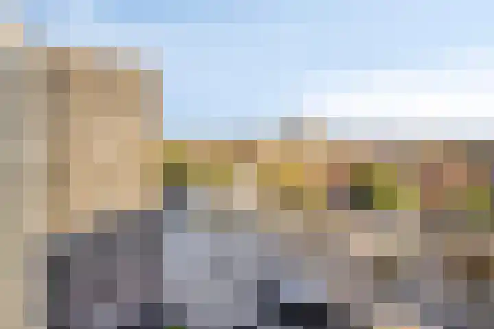 De Brink 61 Groningen thumbnail 27