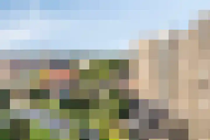 De Brink 61 Groningen thumbnail 29