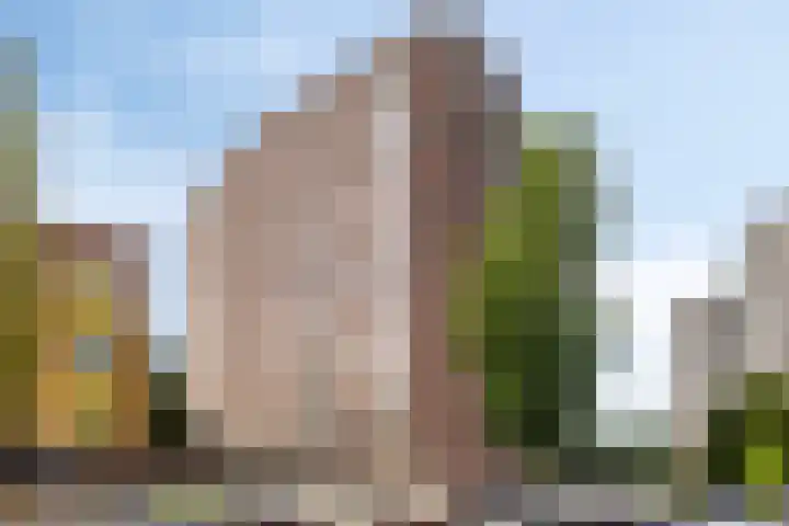 De Brink 61 Groningen thumbnail 38