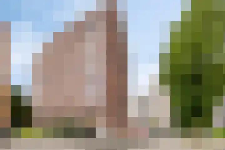 De Brink 61 Groningen thumbnail 39