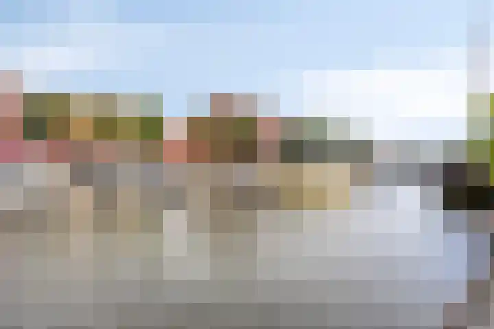 De Brink 61 Groningen thumbnail 44