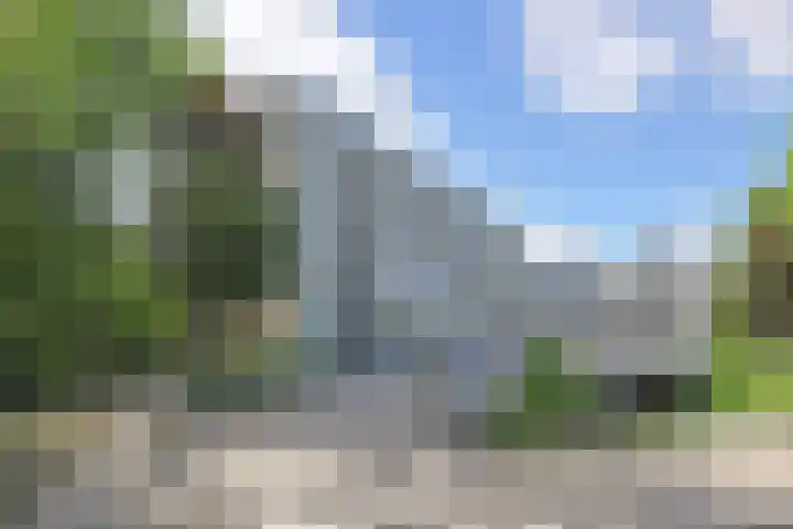 De Brink 66 Den Haag thumbnail 6