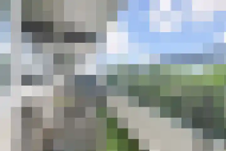 De Brink 66 Den Haag thumbnail 9