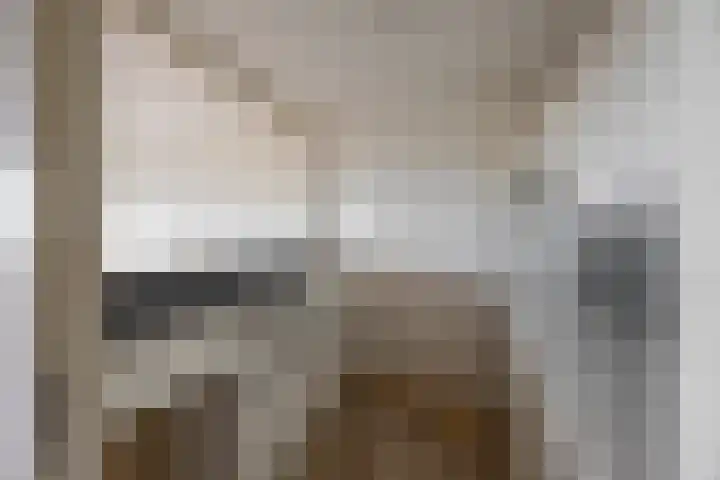 De Brink 74 Groningen thumbnail 20