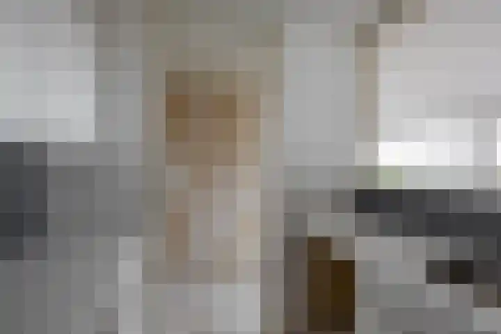 De Brink 74 Groningen thumbnail 22
