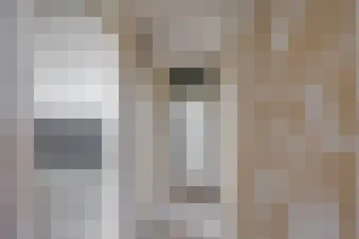 De Brink 74 Groningen thumbnail 26