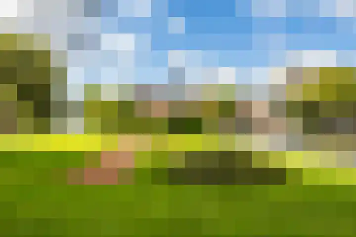 De Brink 74 Groningen thumbnail 5