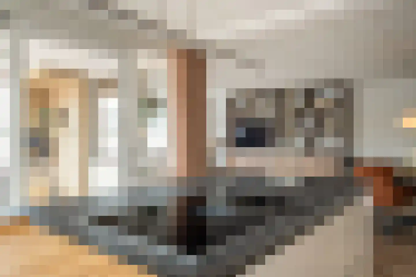 de Brink 75 Losser thumbnail 15
