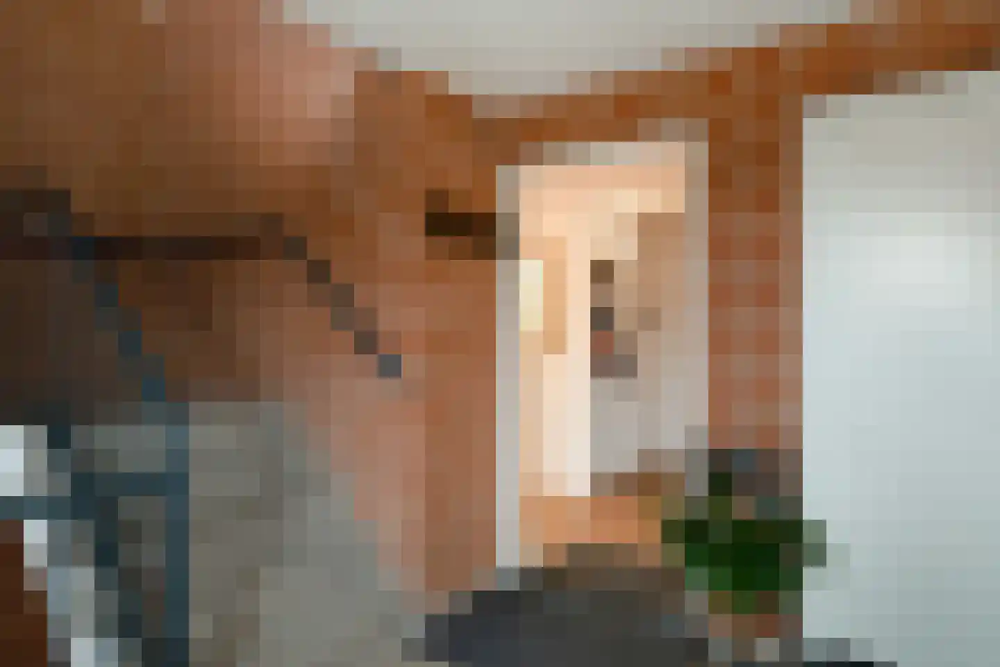de Brink 75 Losser thumbnail 7