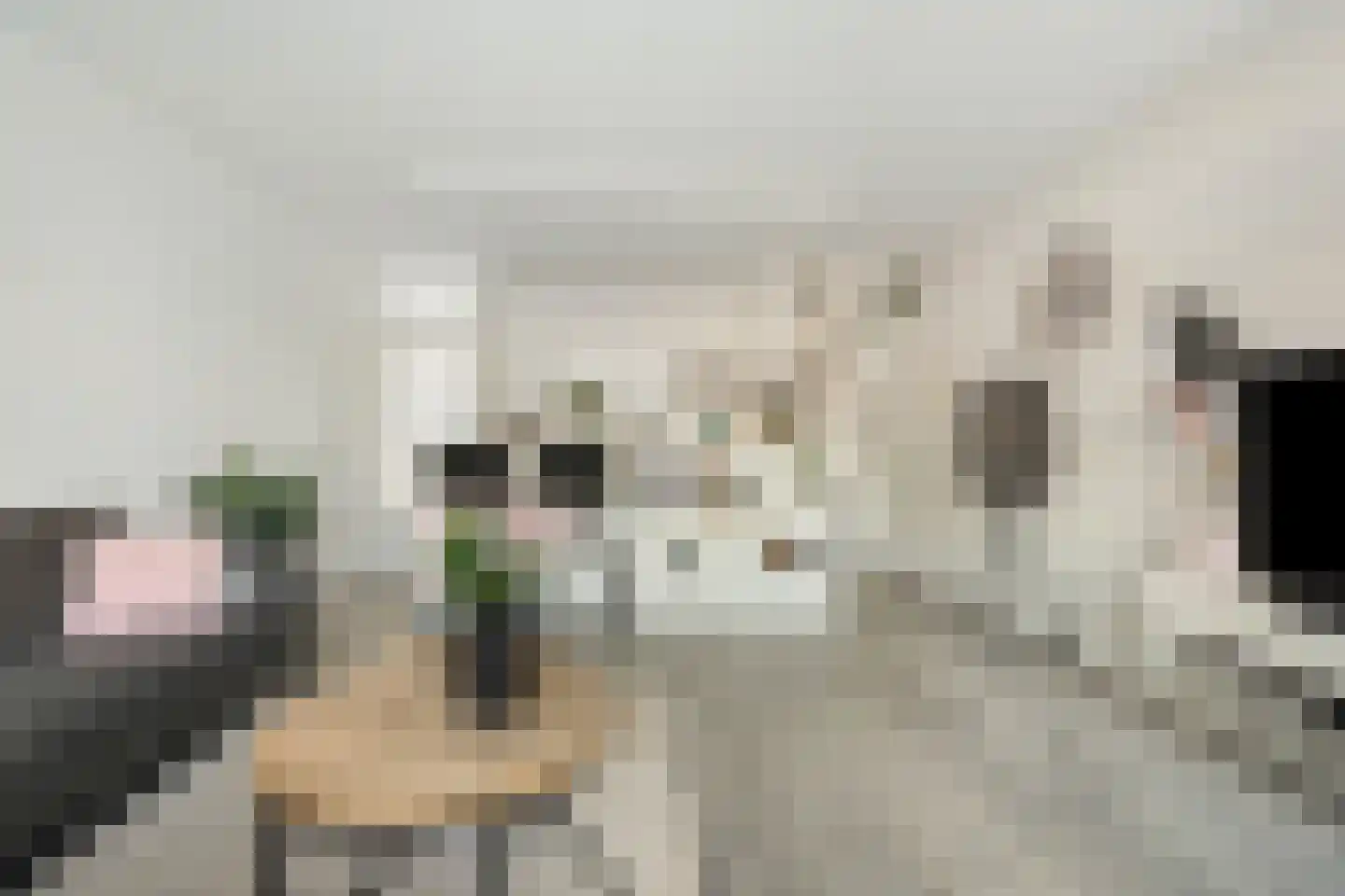 De Brink 756 Den Haag thumbnail 14