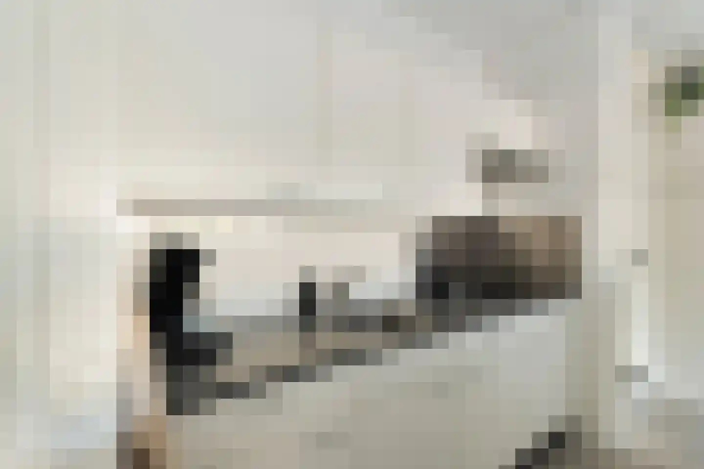 De Brink 756 Den Haag thumbnail 16