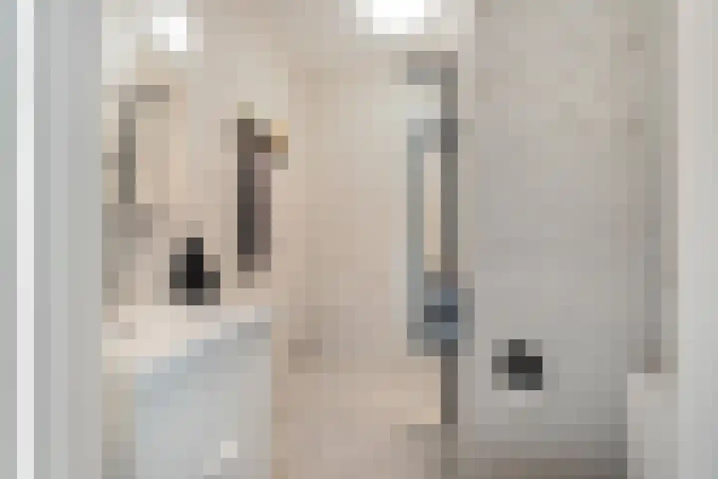 De Brink 756 Den Haag thumbnail 19