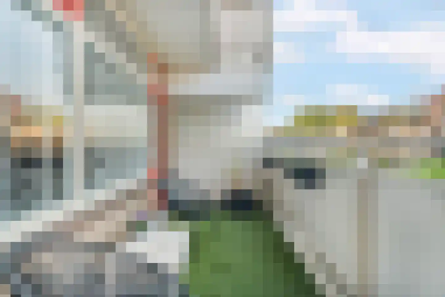 De Brink 756 Den Haag thumbnail 27