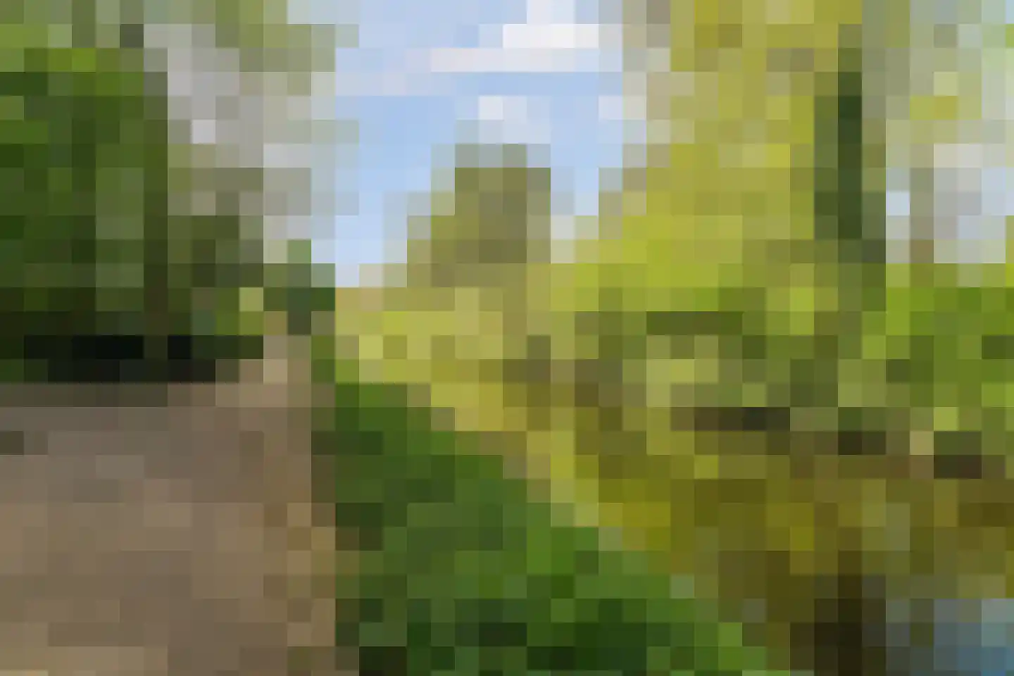 De Brink 756 Den Haag thumbnail 32
