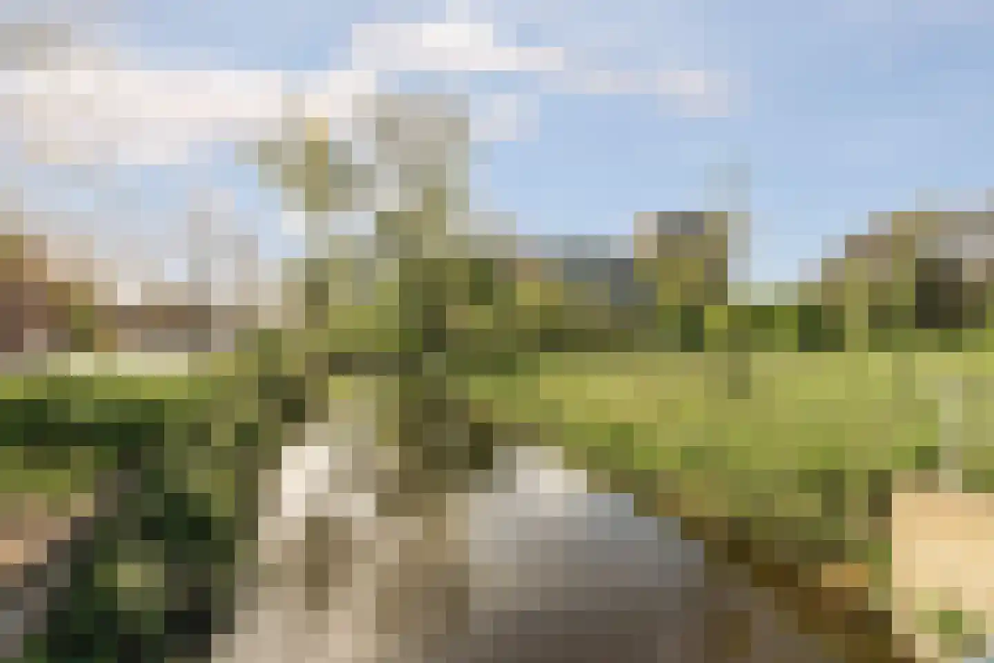 De Brink 756 Den Haag thumbnail 33
