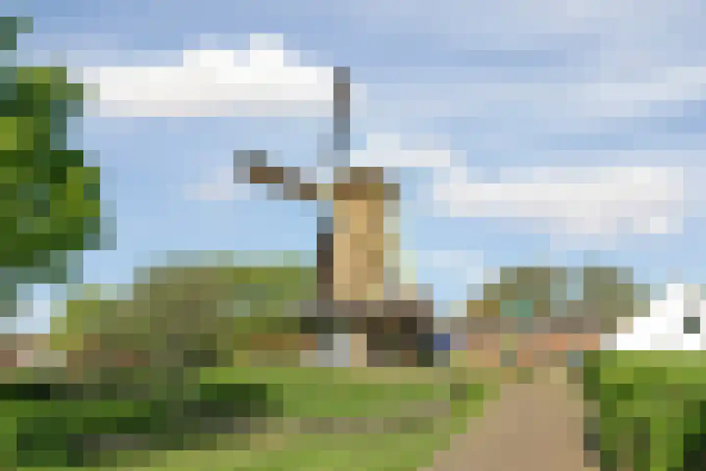 De Brink 756 Den Haag thumbnail 35