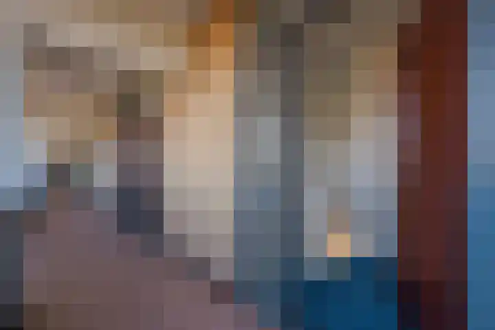 De Brink 810 Den Haag thumbnail 12