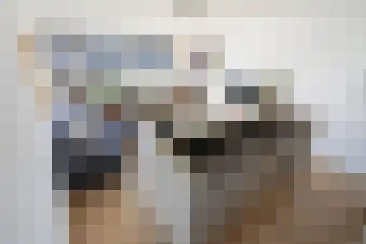 De Brink 810 Den Haag thumbnail 16