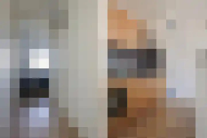 De Brink 810 Den Haag thumbnail 18