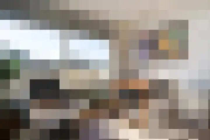 De Brink 810 Den Haag thumbnail 22