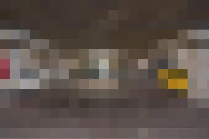 De Brink 810 Den Haag thumbnail 43