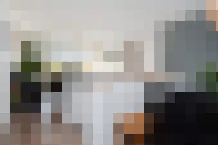 De Brink 818 Den Haag thumbnail 10