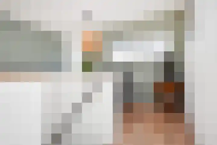 De Brink 818 Den Haag thumbnail 9