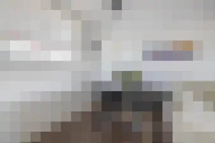 De Brink 824 Den Haag thumbnail 16