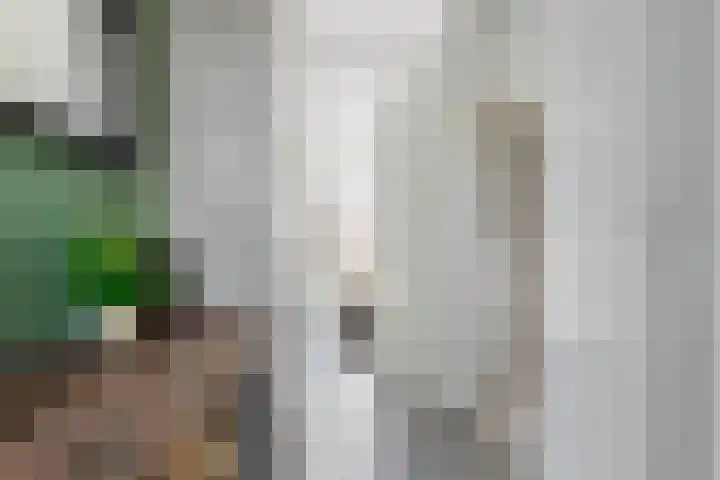 De Brink 824 Den Haag thumbnail 47