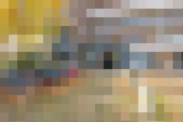 De Brink 824 Den Haag thumbnail 6