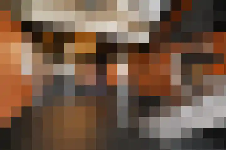 De Brink 826 Den Haag thumbnail 6