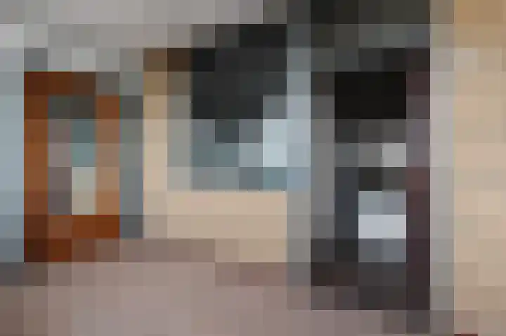 De Brink 826 Den Haag thumbnail 8
