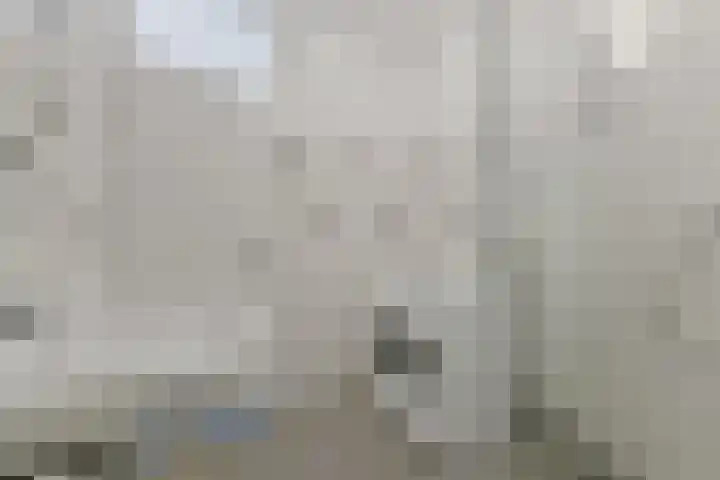 De Brink 838 Den Haag thumbnail 18