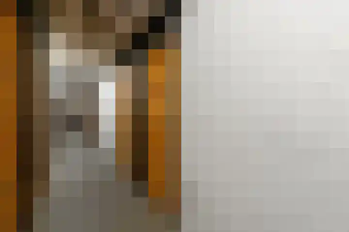 De Brink 838 Den Haag thumbnail 25